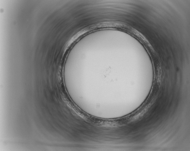 X0000086330786200704271941