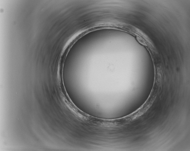 X0000086330788200704271941