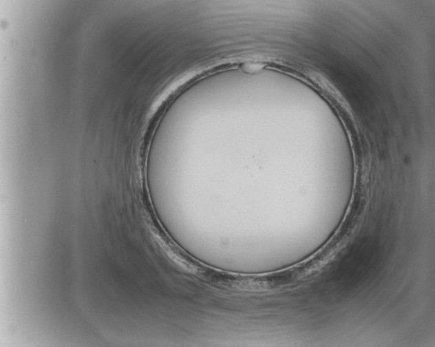 X0000086330789200704271941