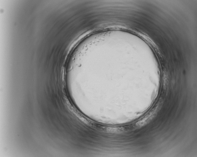 X0000086330790200704271941