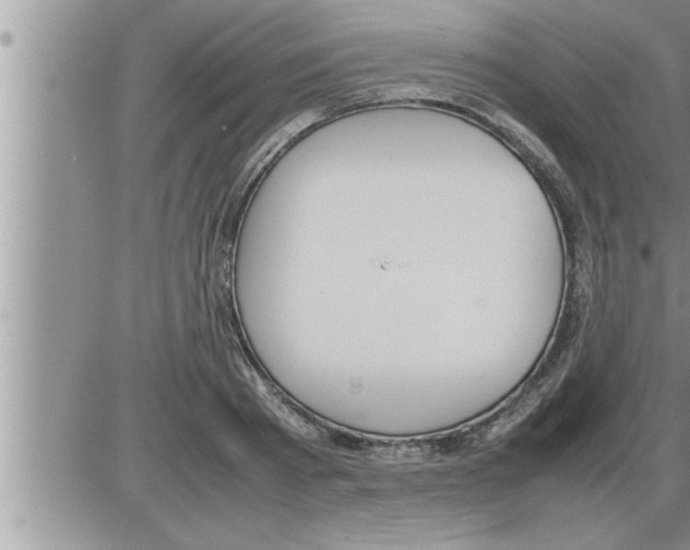 X0000086330793200704271941