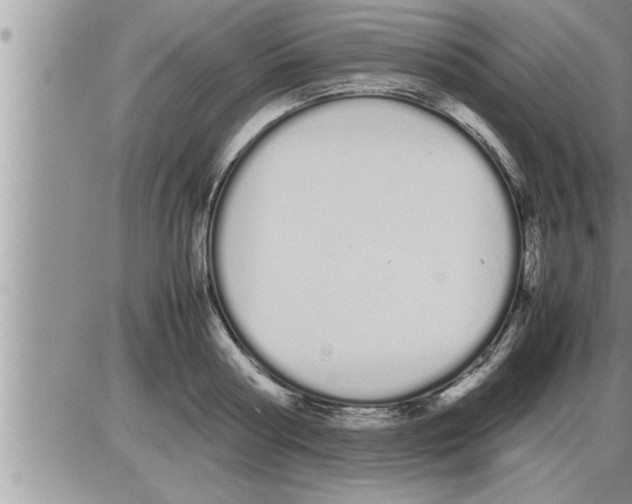 X0000086330794200704271941