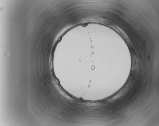 X0000086330796200704271941