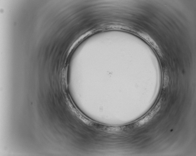 X0000086330798200704271941