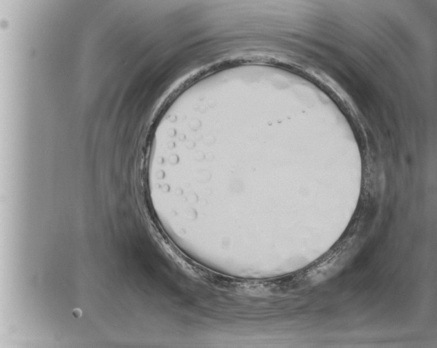 X0000086330799200704271941