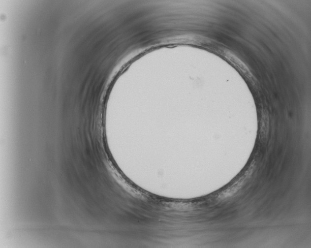 X0000086330800200704271941