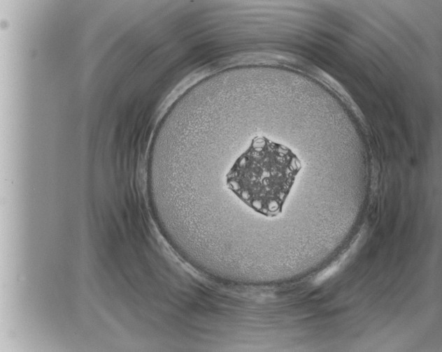 X0000086330802200704271941