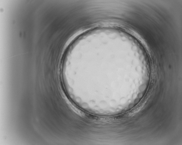 X0000086330803200704271941