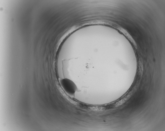 X0000086330805200704271941