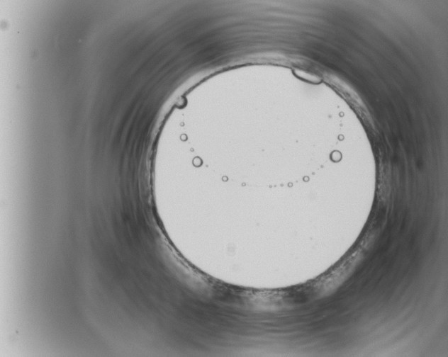 X0000086330808200704271941