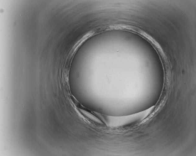 X0000086330809200704271941