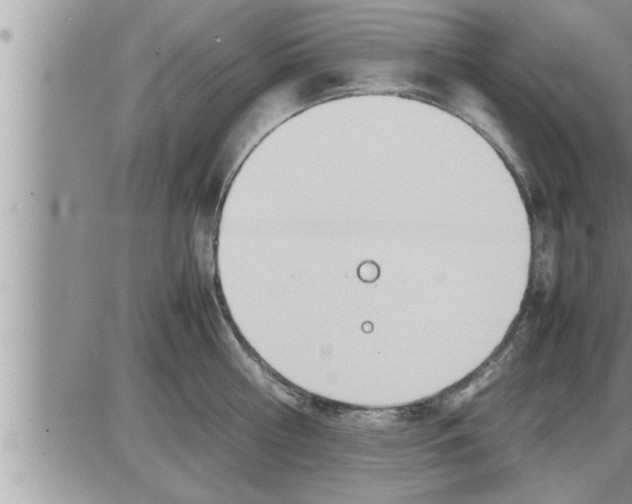 X0000086330810200704271941