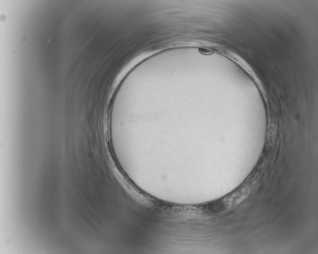 X0000086330811200704271941