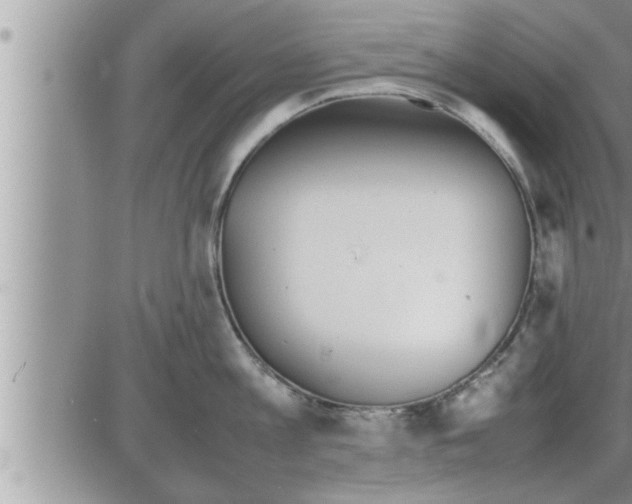 X0000086330813200704271940