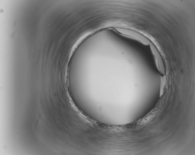 X0000086330815200704271940