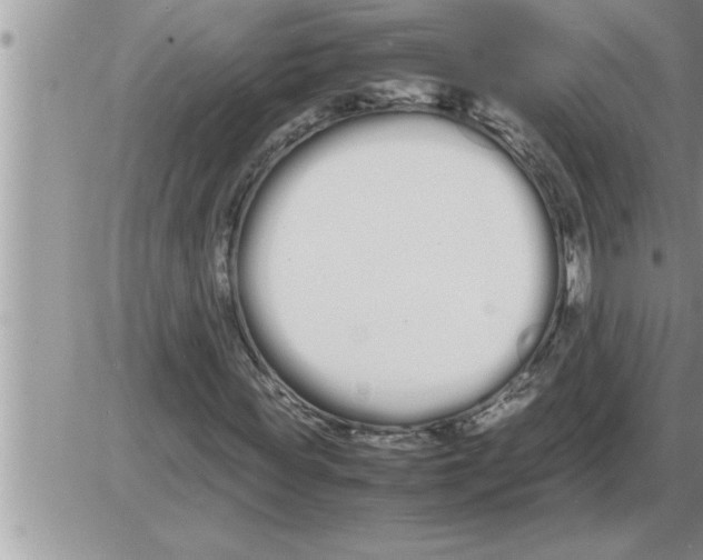 X0000086330819200704271940