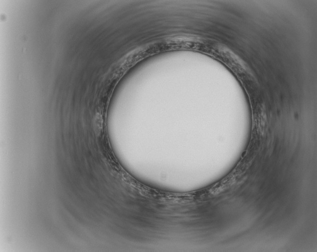 X0000086330821200704271940