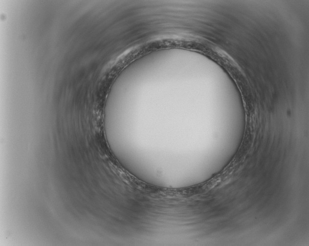 X0000086330822200704271940