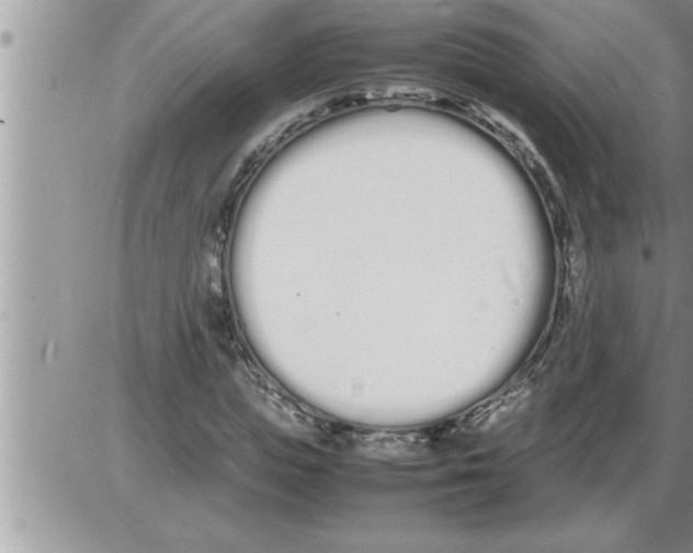 X0000086330823200704271940