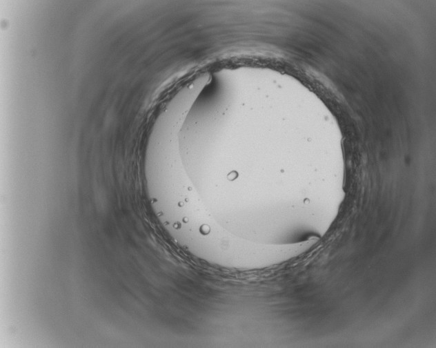 X0000086330824200704271940