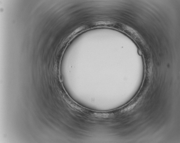 X0000086330825200704271940