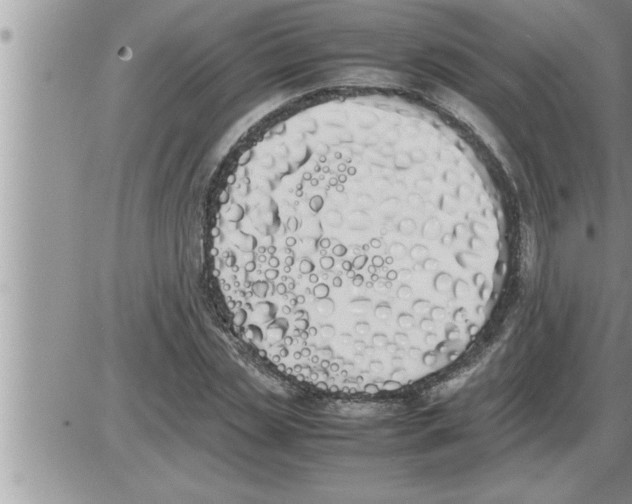 X0000086330829200704271940