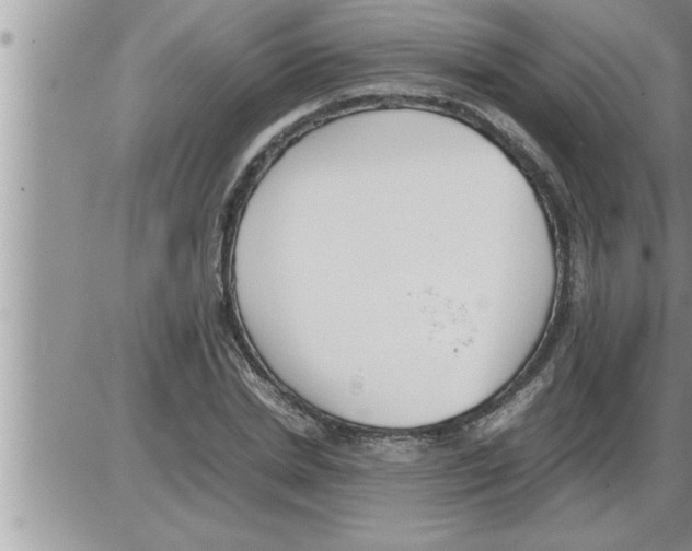 X0000086330830200704271940