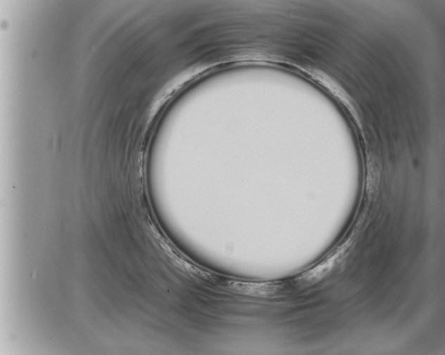 X0000086330831200704271940