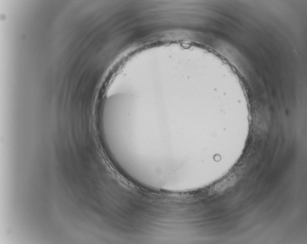 X0000086330832200704271940