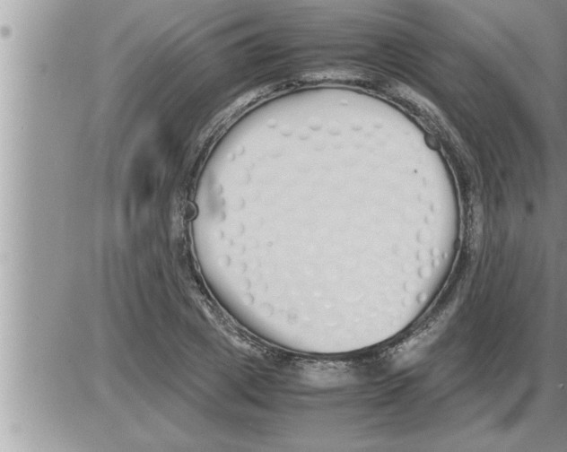 X0000086330833200704271940