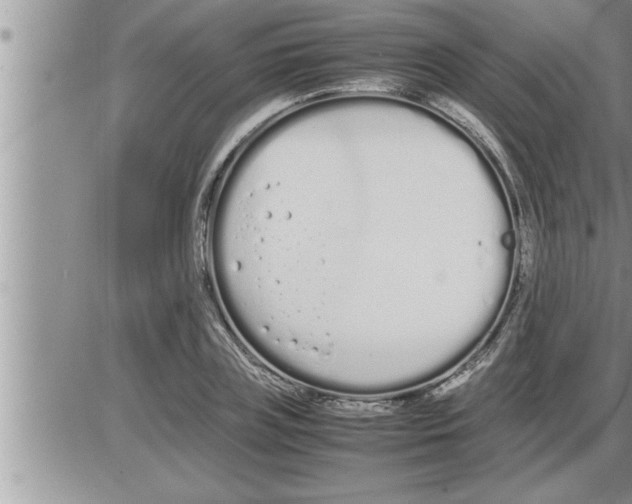 X0000086330835200704271940