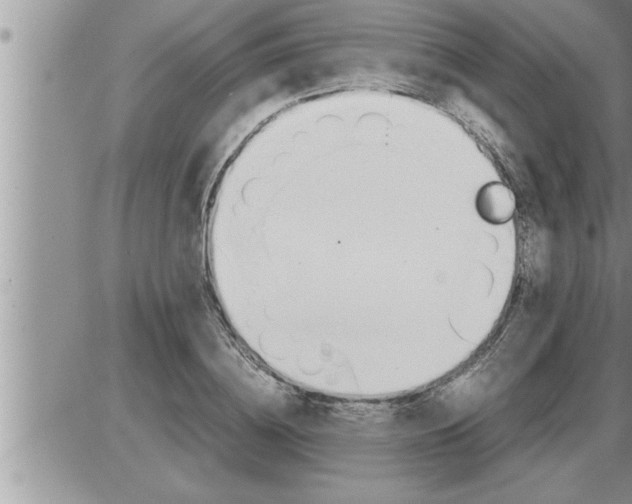 X0000086330836200704271940