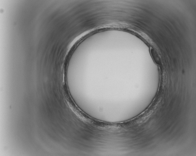 X0000086330838200704271940