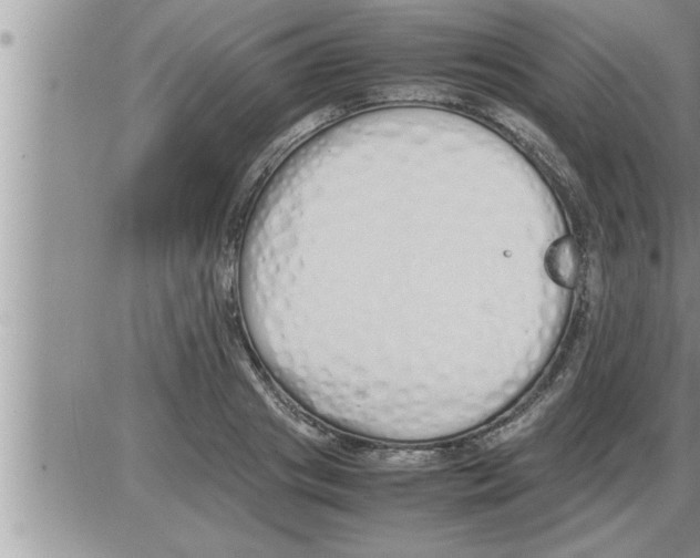 X0000086330841200704271940