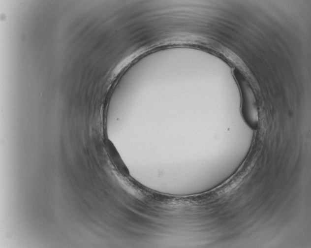 X0000086330842200704271940