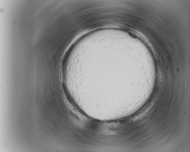 X0000086330843200704271940