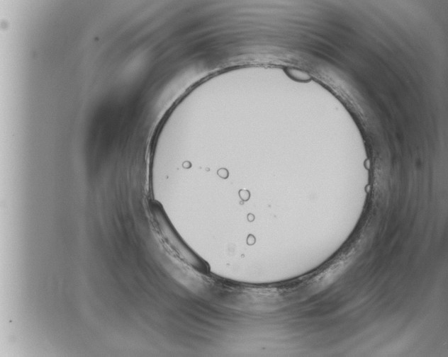 X0000086330844200704271940