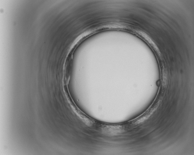 X0000086330845200704271940