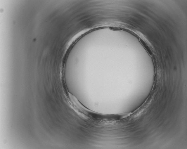 X0000086330846200704271940