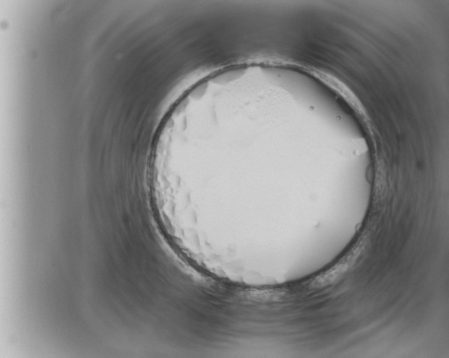 X0000086330847200704271940