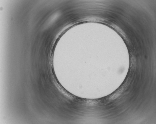 X0000086330848200704271940