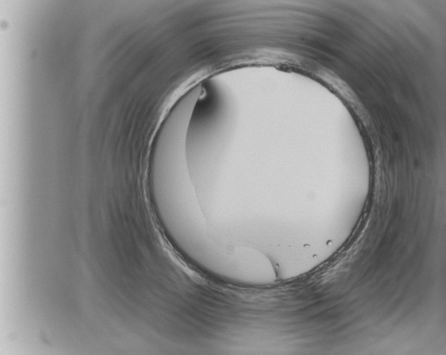 X0000086330850200704271940