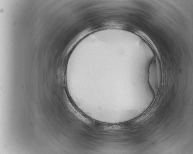 X0000086330851200704271940