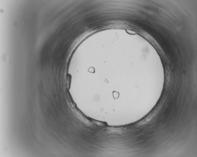 X0000086330852200704271940