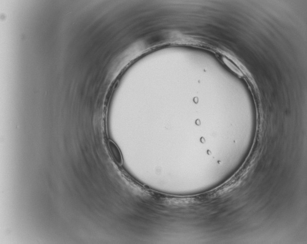 X0000086330853200704271940