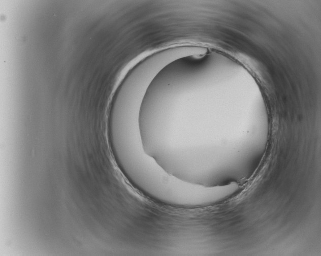 X0000086330854200704271940