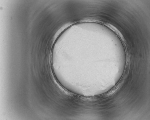 X0000086330855200704271940