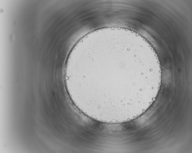 X0000086330856200704271940