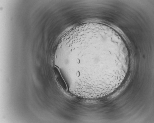 X0000086330857200704271940