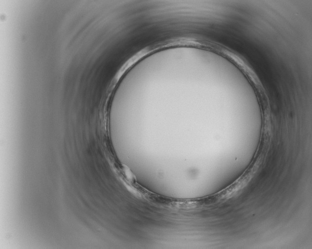 X0000086330858200704271940